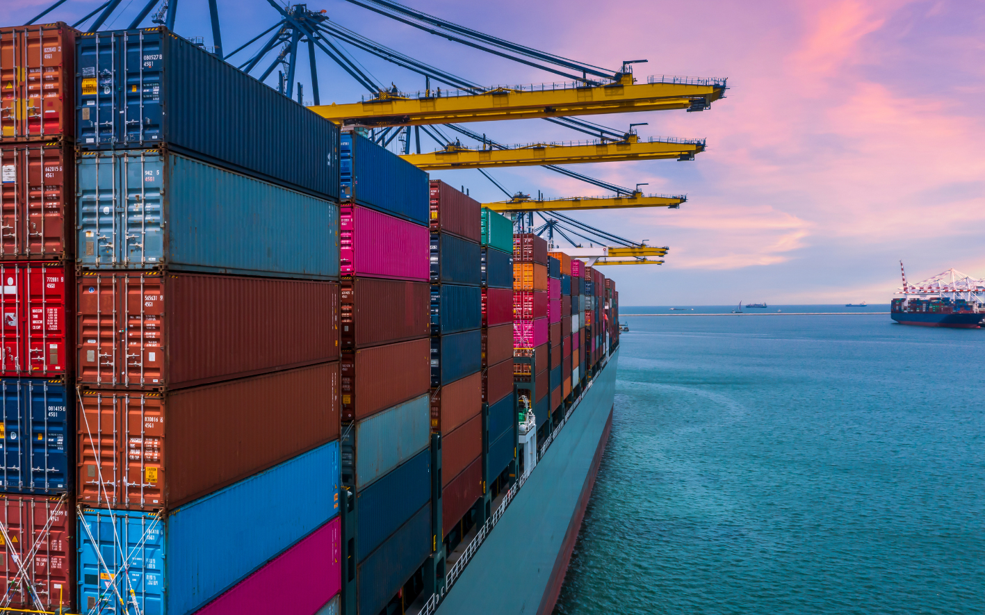 Import Export Firm
